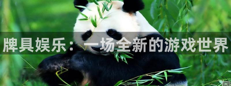 门徒平台登录注册