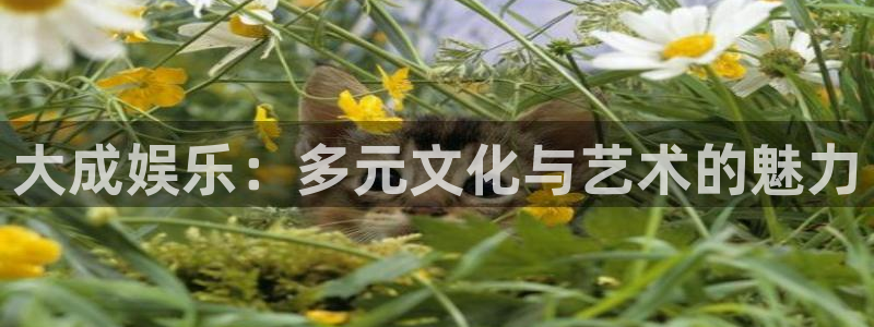 门徒平台注册