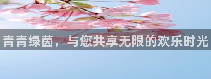 门徒平台注册中心