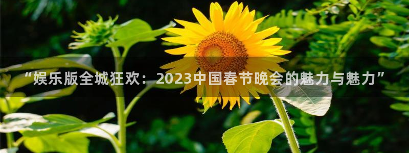 门徒平台登陆