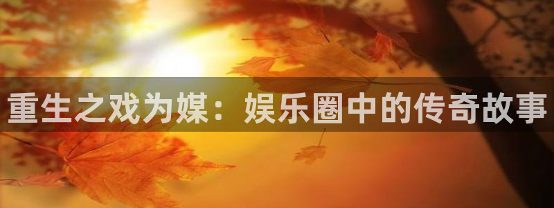 门徒平台