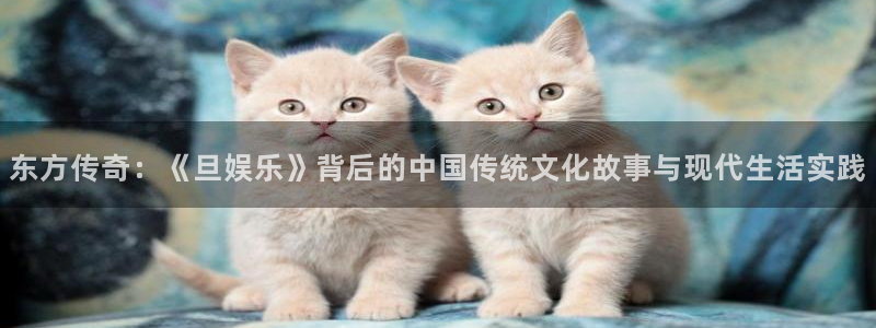 门徒平台登陆