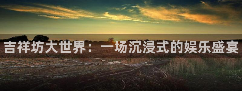拉菲门徒平台