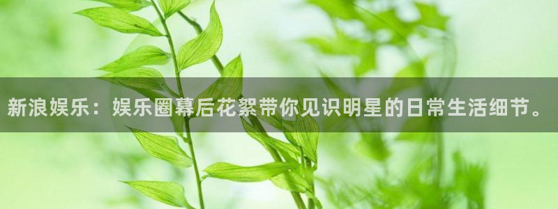门徒娱乐官网首页